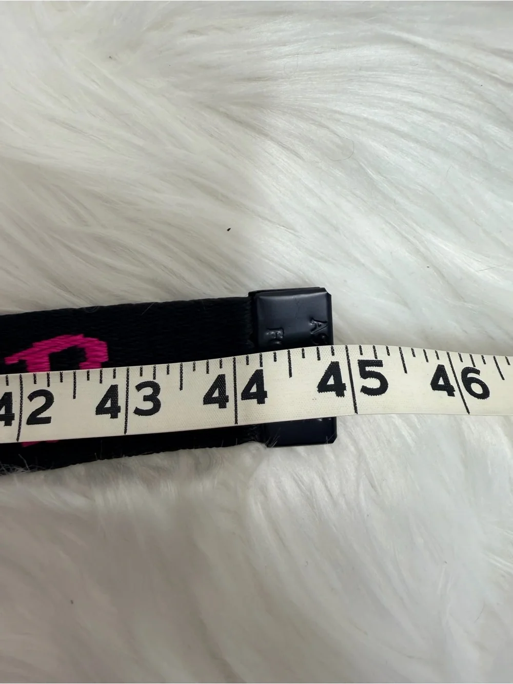 Black Belt with Pink 'ASSHOLES LIVE FOREVER' Text